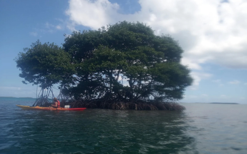 immersion guidée et écologique dans la réserve UNESCO. Basé à Sainte-Rose