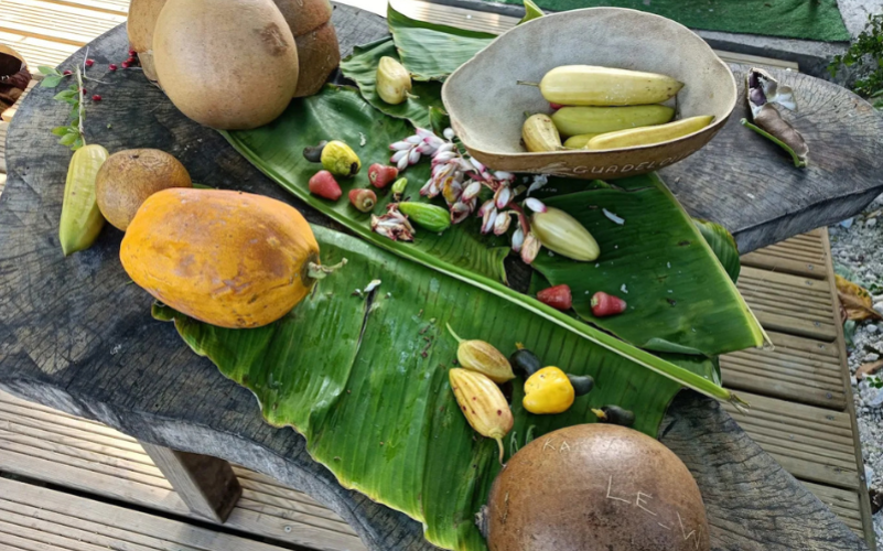 Atelier à la kaz à graine