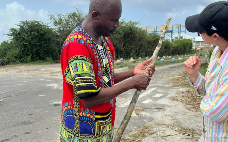 découverte de Marie-Galante en catamaran avec Butterfly Tours. Journée all inclusive, rhum, plages et gastronomie créole en Guadeloupe.