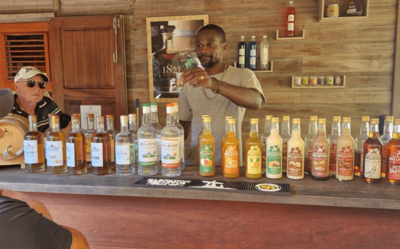 découverte de Marie-Galante en catamaran avec Butterfly Tours. Journée all inclusive, rhum, plages et gastronomie créole en Guadeloupe.