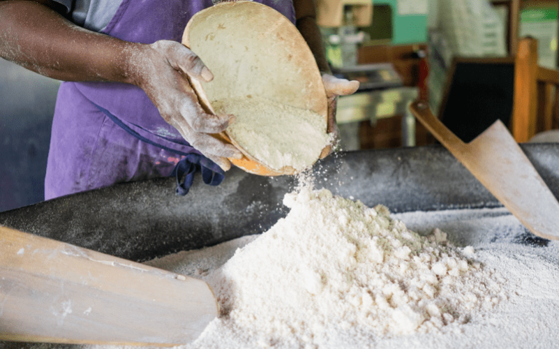 Atelier cassave authentique en Guadeloupe avec Germaine