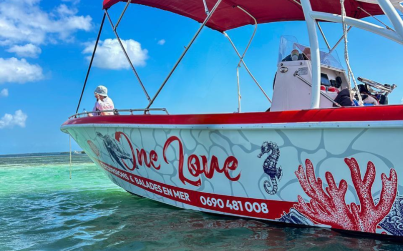 Excursion dans le grand cul de sac marin tout compris avec visite de l'îlet caret