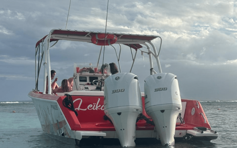 Excursion dans le grand cul de sac marin tout compris avec visite de l'îlet caret