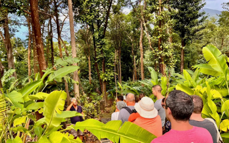 Parc de la Source à Bouillante en Guadeloupe
