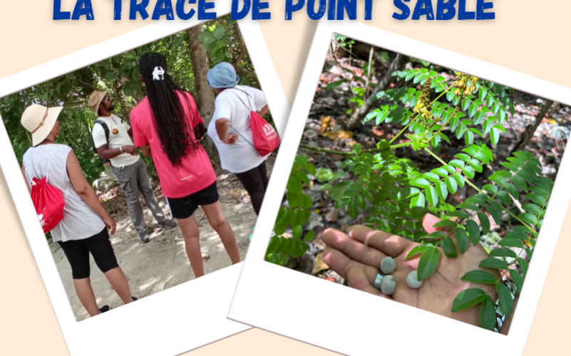 Randonnée Port-Louis