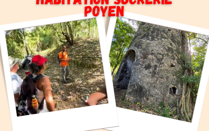 Visite guidée de l'habitation Poyen