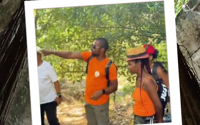 Visite guidée de l'habitation Poyen