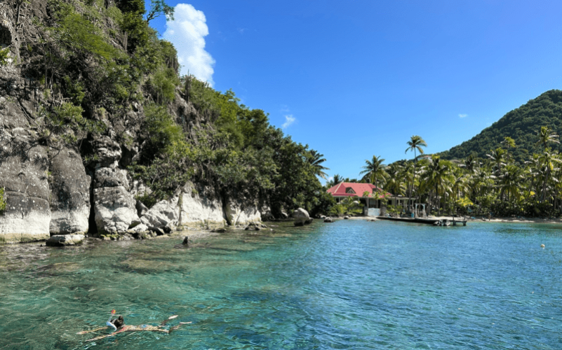 excursion Les Saintes Guadeloupe, nager avec les tortues Guadeloupe, snorkeling Pain de Sucre, Terre-de-Haut bateau, archipel des Saintes journée