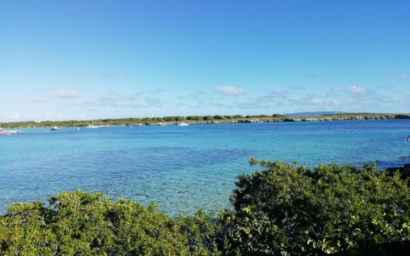 Excursion Demi journée à Petite Terre en Guadeloupe