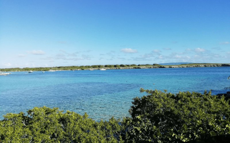 Excursion Demi journée à Petite Terre en Guadeloupe