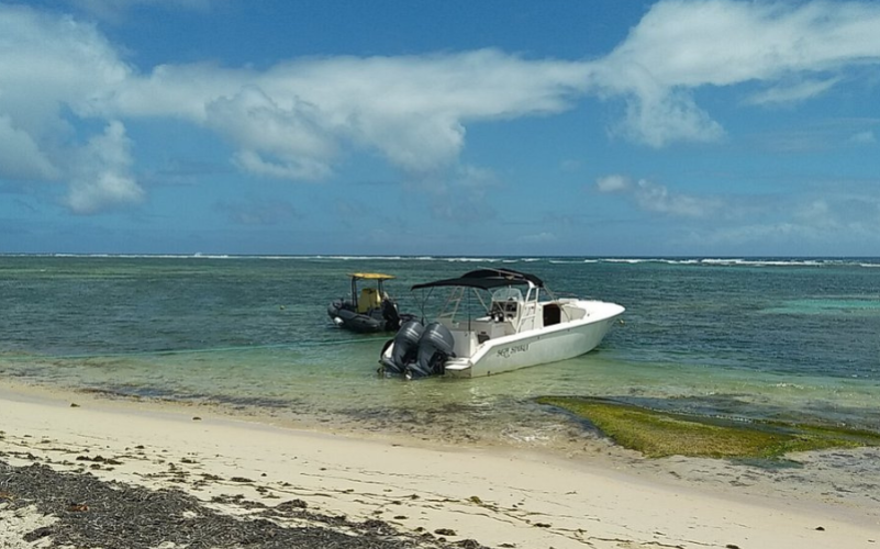 Excursion Demi journée à Petite Terre en Guadeloupe