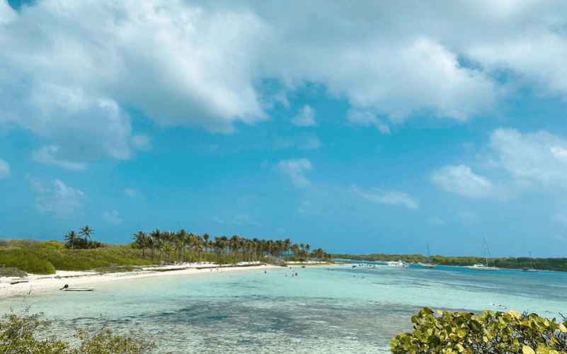 Excursion Demi journée à Petite Terre en Guadeloupe