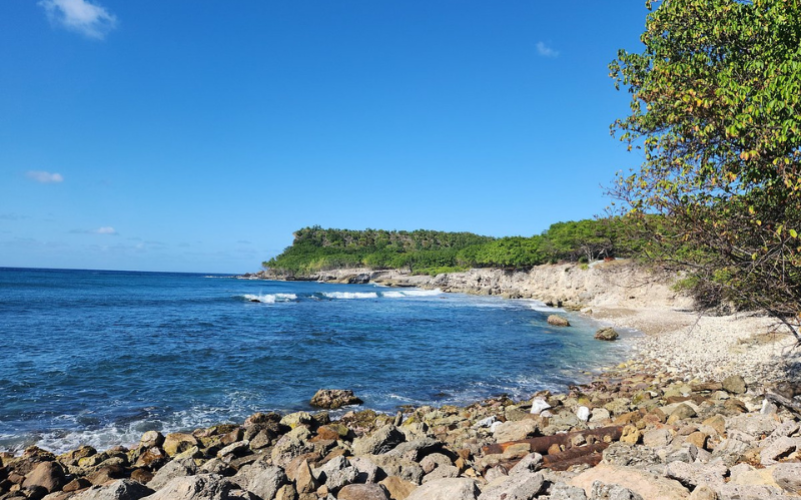 Journée combinée Désirade et Petite Terre excursion en Guadeloupe