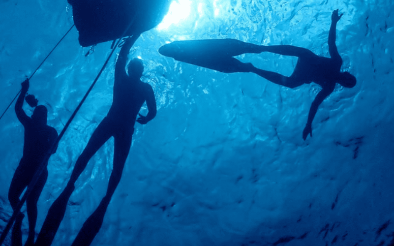 Snorkeling Grand Cul-de-sac marin en Guadeloupe