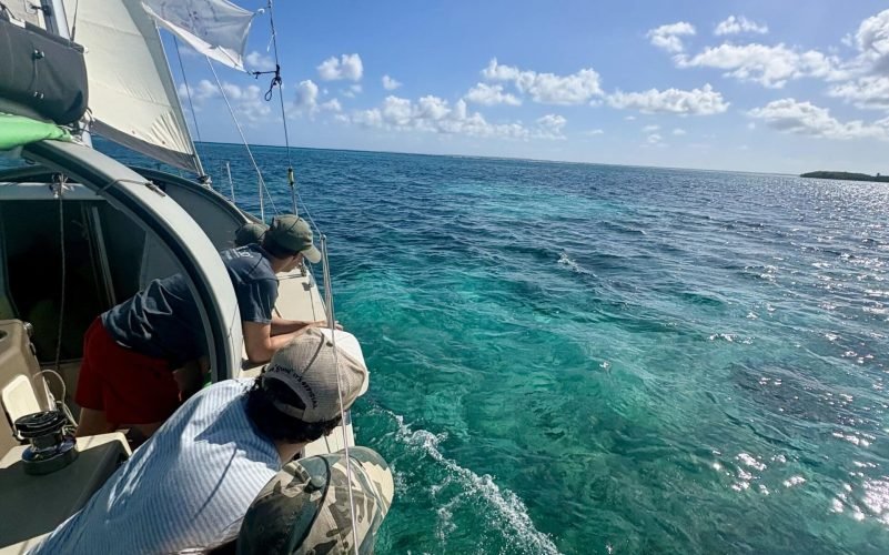 excursion à la voile en Guadeloupe en petit groupe