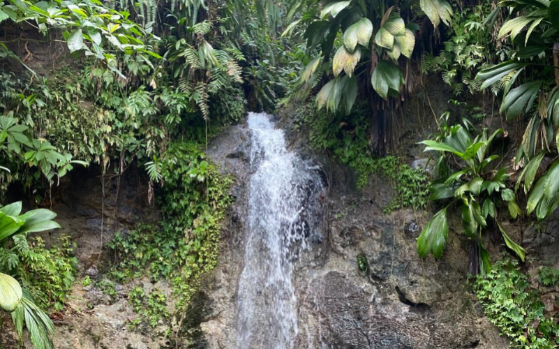 Randonnée secrète en Guadeloupe à Petit-Bourg