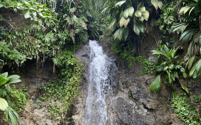 Randonnée secrète en Guadeloupe à Petit-Bourg