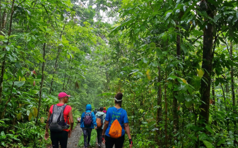 Randonnée secrète en Guadeloupe à Petit-Bourg