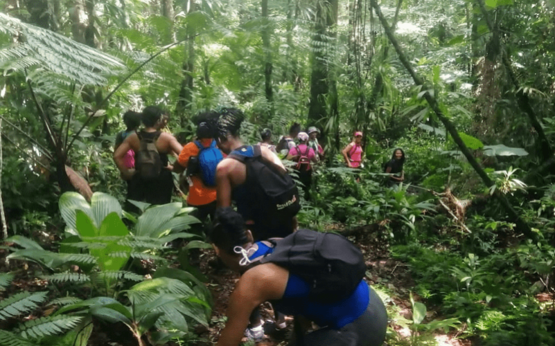 Randonnée secrète en Guadeloupe à Petit-Bourg