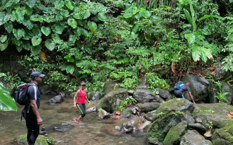 Randonnée secrète en Guadeloupe à Petit-Bourg
