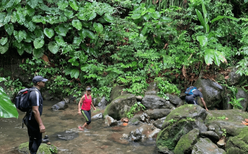 Randonnée secrète en Guadeloupe à Petit-Bourg