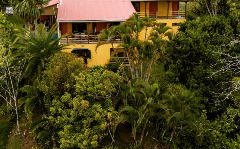 Punch Mabi vous ouvre les portes de son univers artisanal pour une expérience mêlant nature, tradition et dégustation