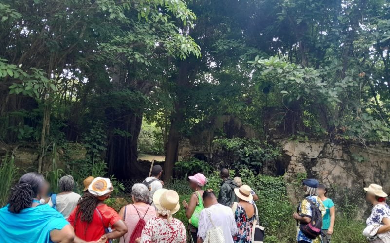 WhatsApp Image 2025-11-20 at 13.57.48 (3)