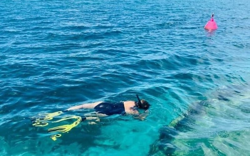 Snorkeling Grand Cul-de-sac marin en Guadeloupe