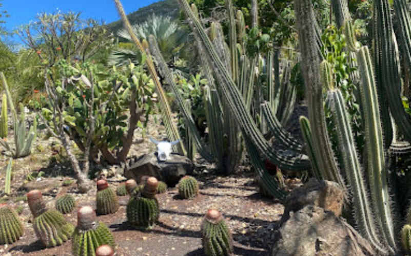 Entrée pour le jardin botanique du Désert à la Désirade.