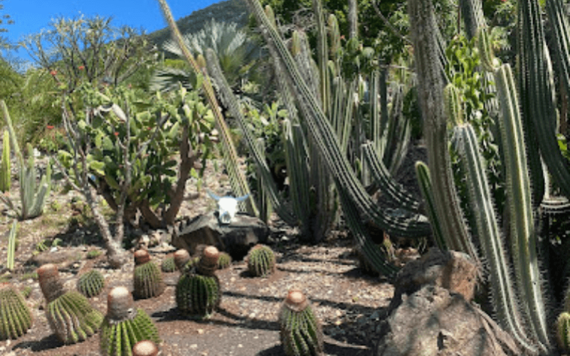 Entrée pour le jardin botanique du Désert à la Désirade.