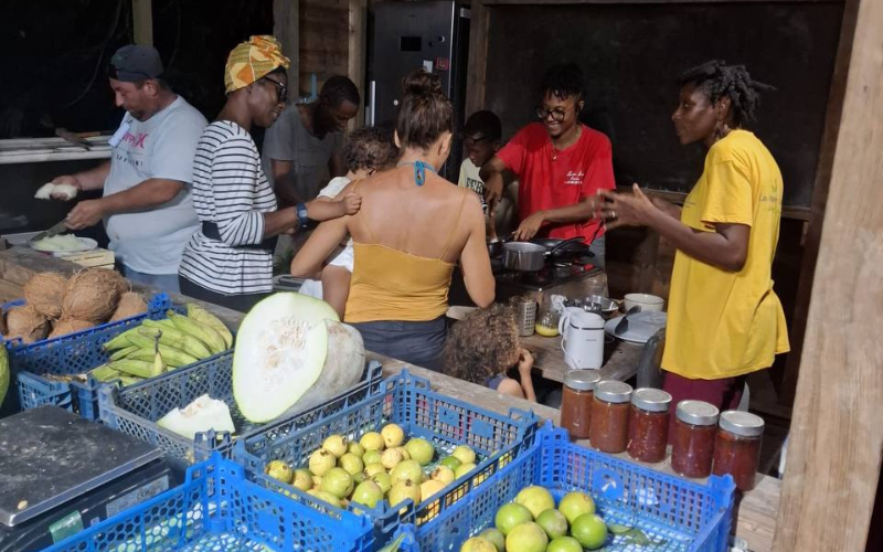 Expérience dans un jardin créole en Guadeloupe