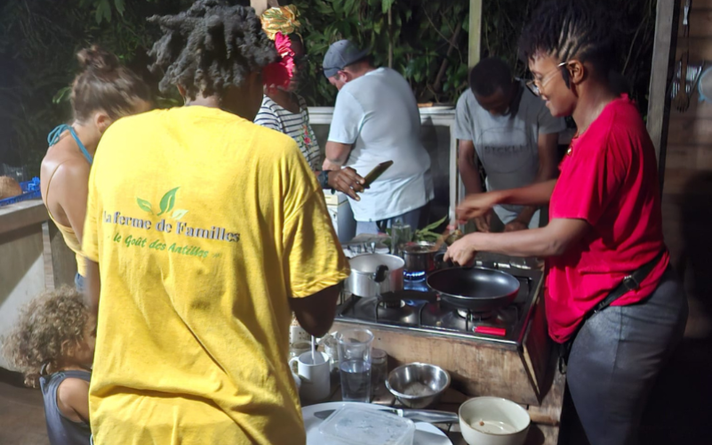 Expérience dans un jardin créole en Guadeloupe