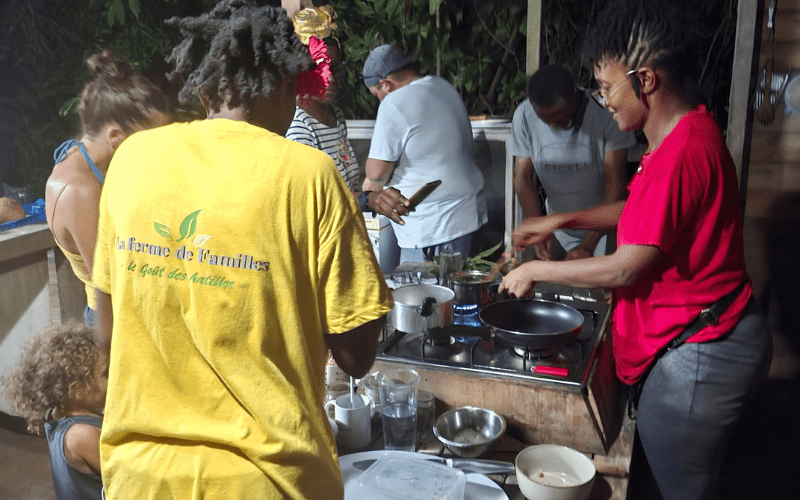 Expérience dans un jardin créole en Guadeloupe