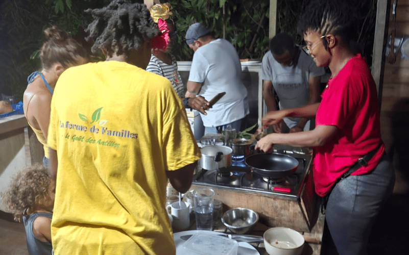 Expérience dans un jardin créole en Guadeloupe