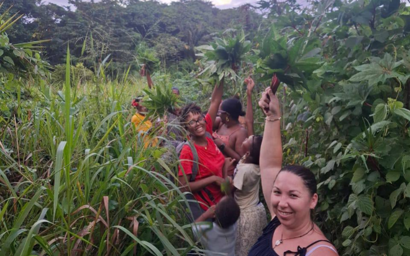 Expérience dans un jardin créole en Guadeloupe