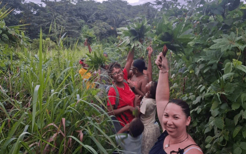 Expérience dans un jardin créole en Guadeloupe